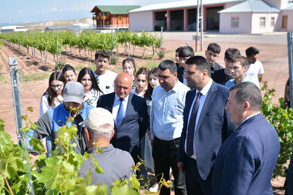 Naxçıvan Dövlət Universitetinin tələbələri üzümçülük plantasiyası və alma bağında istehsalat təcrübəsi keçirlər